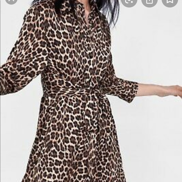 Leopard Shirt Dress - Picture 3 of 4